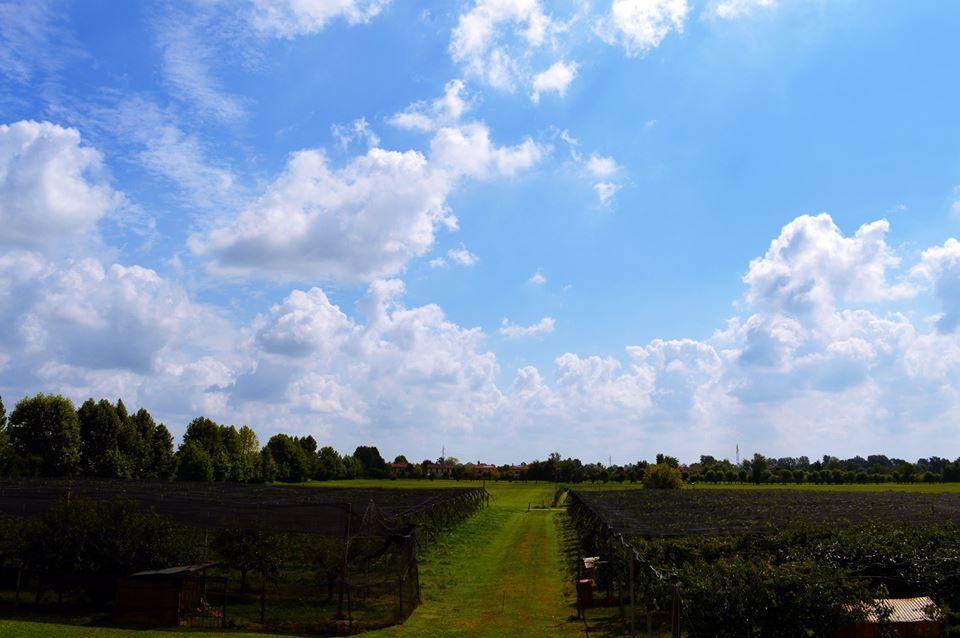 Agriturismo Sartori Terenzio Quinto Vicentino Екстериор снимка