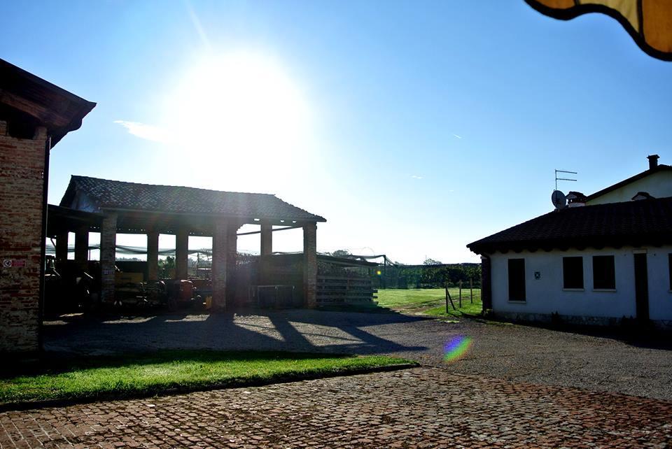 Agriturismo Sartori Terenzio Quinto Vicentino Екстериор снимка